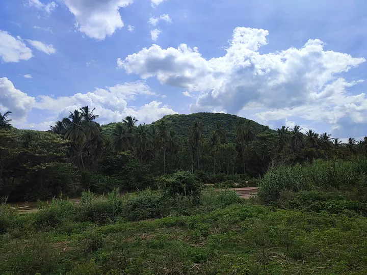 A Debate on Purpose: Reflections from a Train Journey